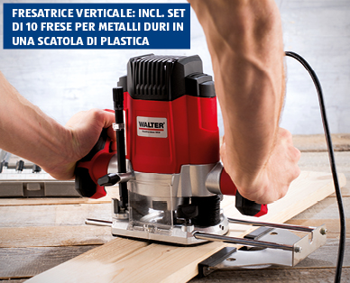 Fresatrice verticale/lamellare WALTER(R)