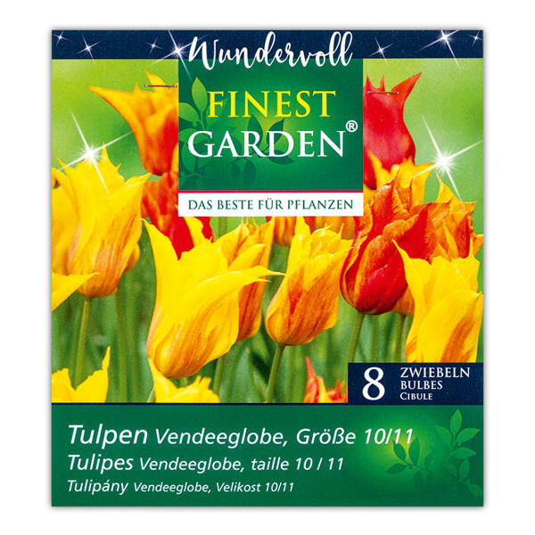 Blumenzwiebel-Mischung "Wundervoll"
