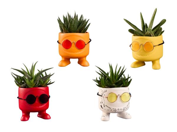 Succulentes en motif céramique "Be Cool"