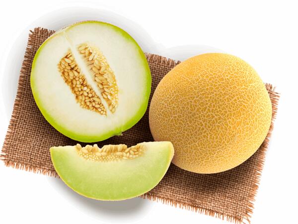Zuckermelone Galkia