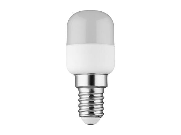 LED Light Bulb