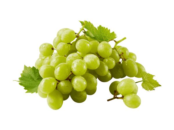 Bílé hrozny stolní bezsemenné