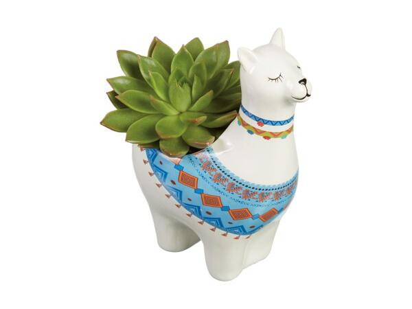Alpaca Plant