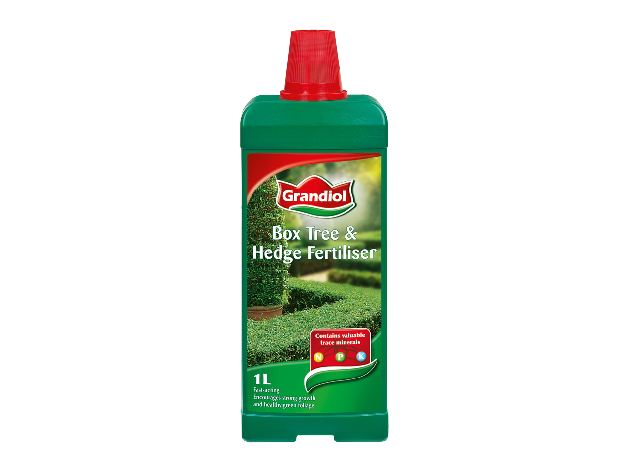 Engrais pour buis