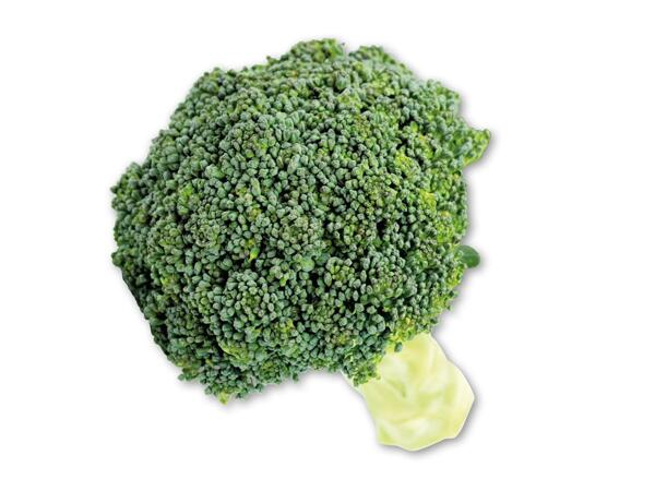 Broccoli