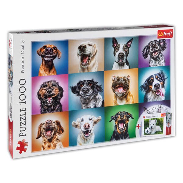 1000 Teile Puzzle