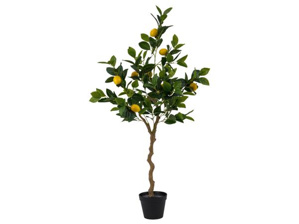 Artificial Plant