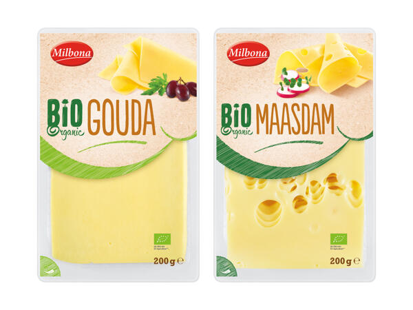 Bio Scheibenkäse