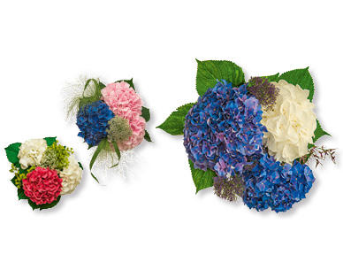 Bouquet d'hortensias