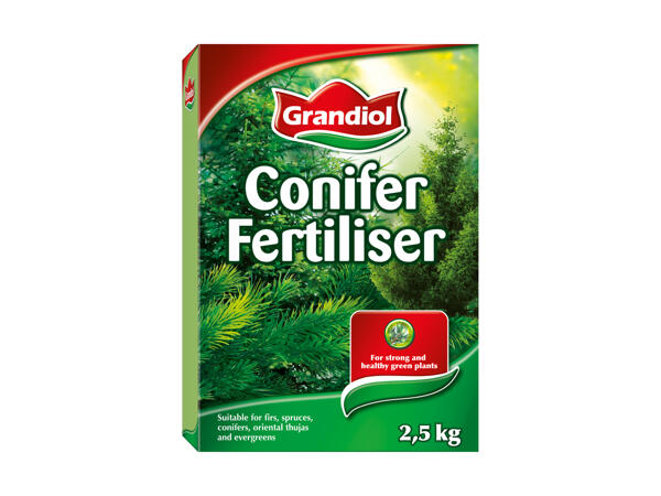 Fertilizzante per abeti