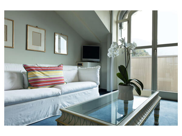 Window Privacy Film