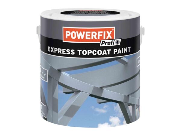 Express Topcoat Paint