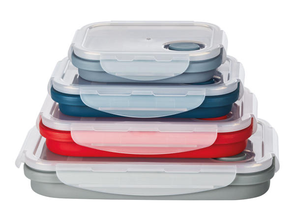 Ernesto Collapsible Storage Containers