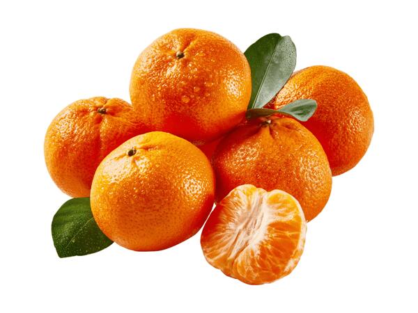 Clementine XXL