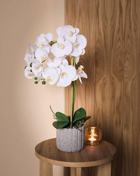 Artificial Orchid