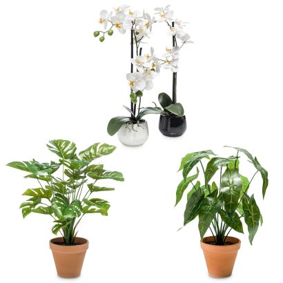 Fausse plante