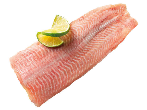 Frisches Welsfilet