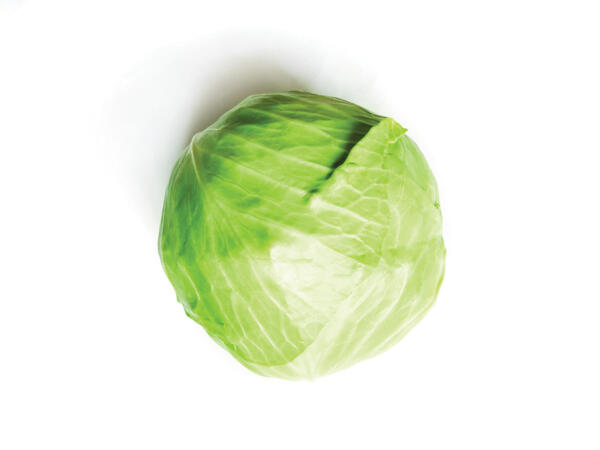 Cabbage