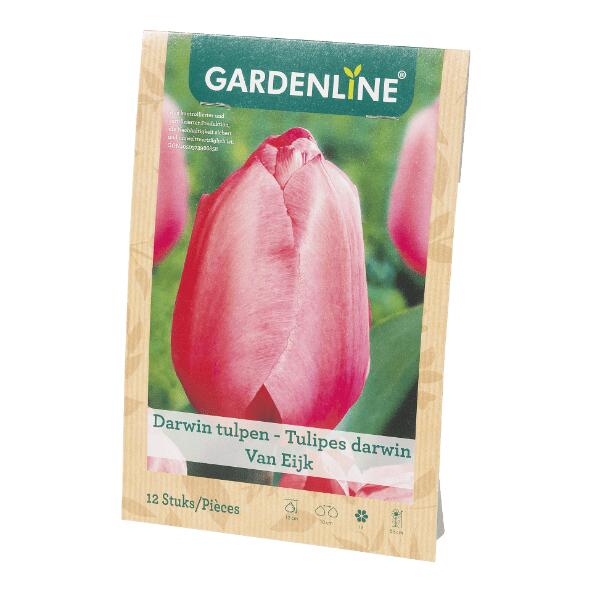 GARDENLINE(R) 				Bulbes à fleurs