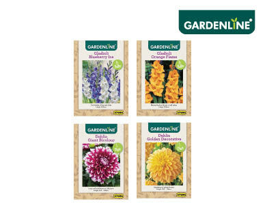 Dahlia and Gladioli Packet Bulbs