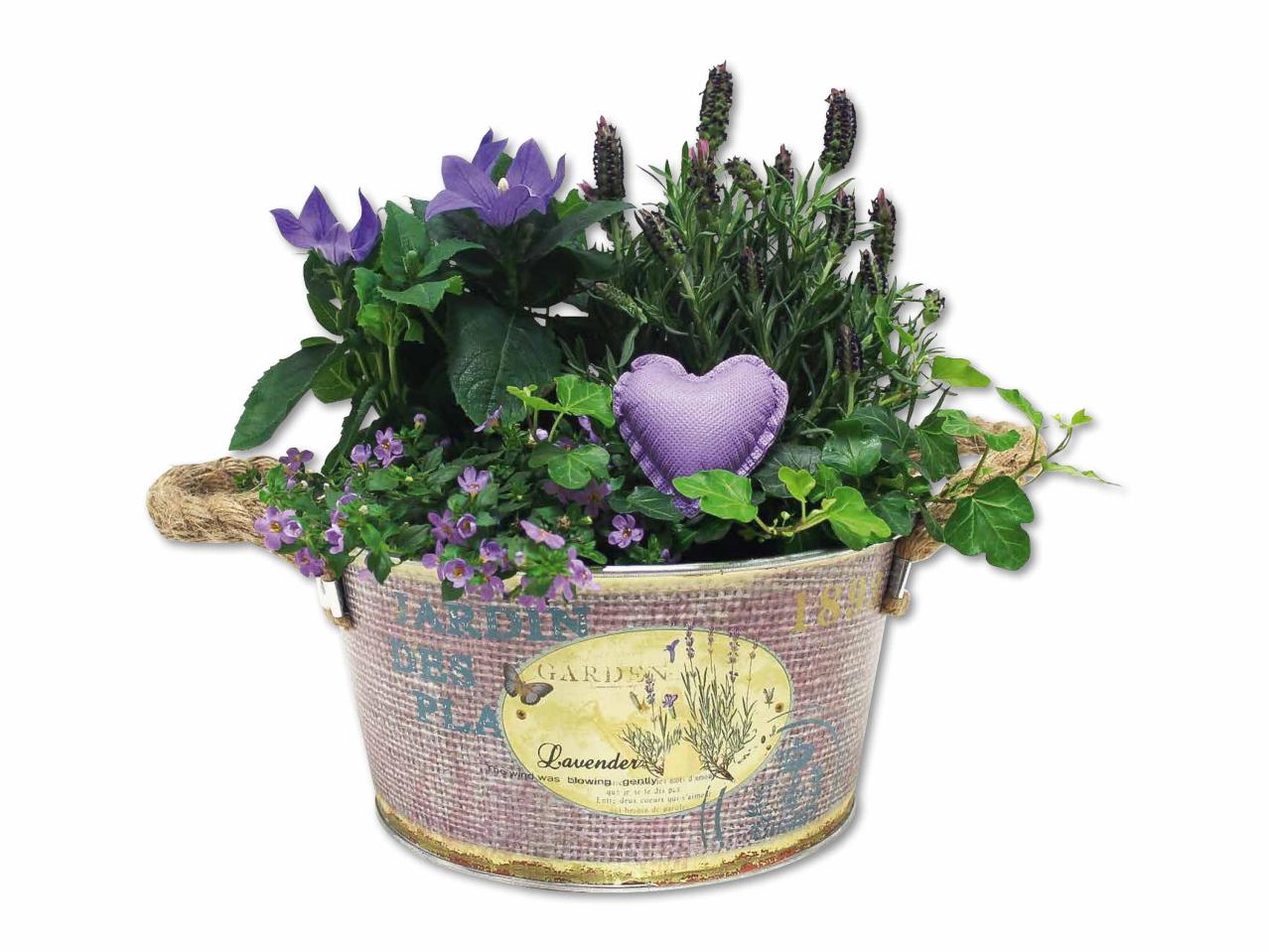 Pot de lavande fête des mères