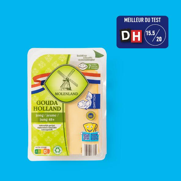 MOLENLAND(R) 				Gouda Holland