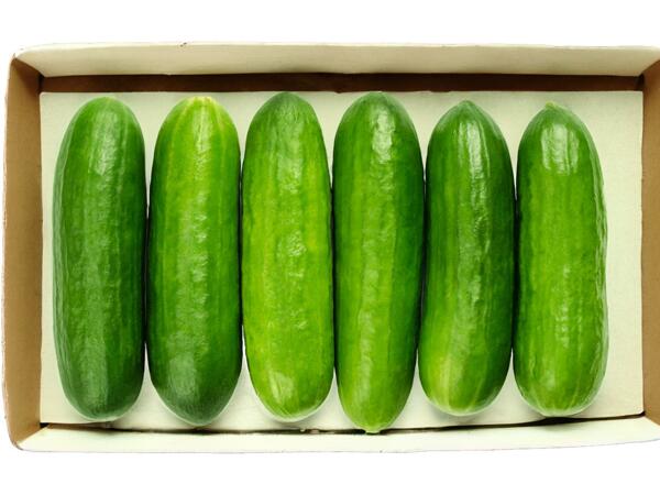Snack Gurken aus Österreich