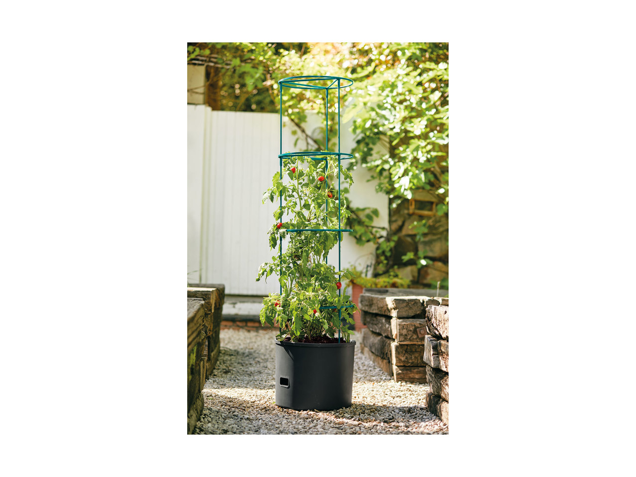 Florabest Tomato Planter1