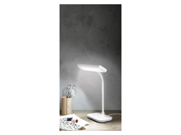 LED Daylight Lamp