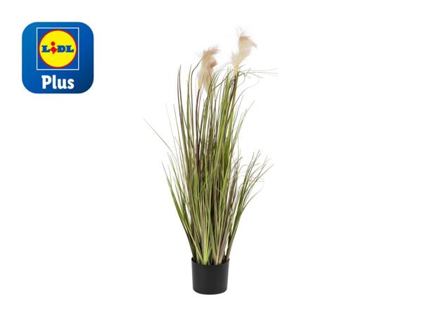 Livarno Home Artificial Neptune Grass Plant