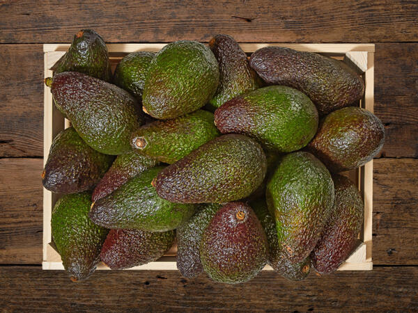 Avocado