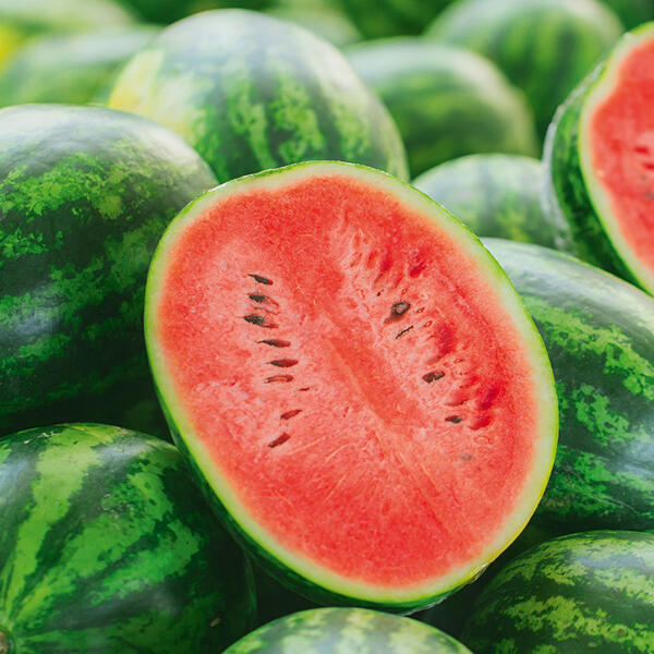 "Dumara" Riesenwassermelone