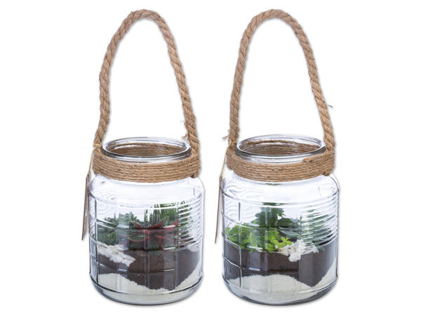Mini Garten Maritim im Glas