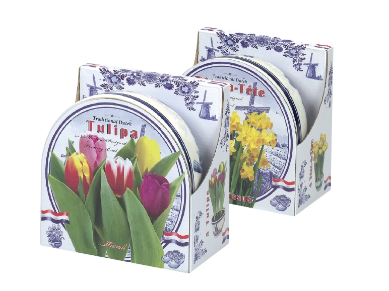 Dutch Bulbs in Ceramic Set
