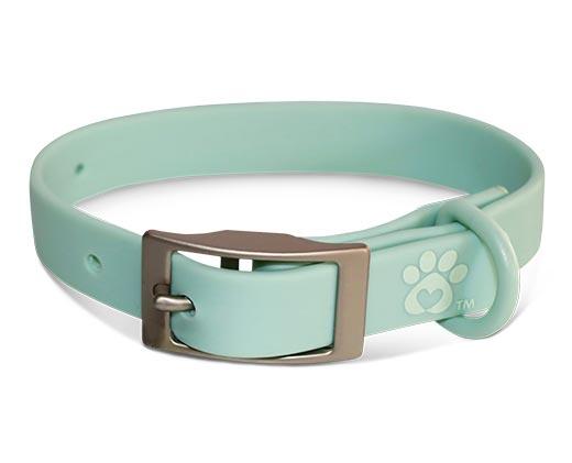 Heart to Tail Pet Collar