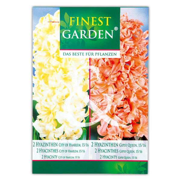 Blumenzwiebel Mischung
