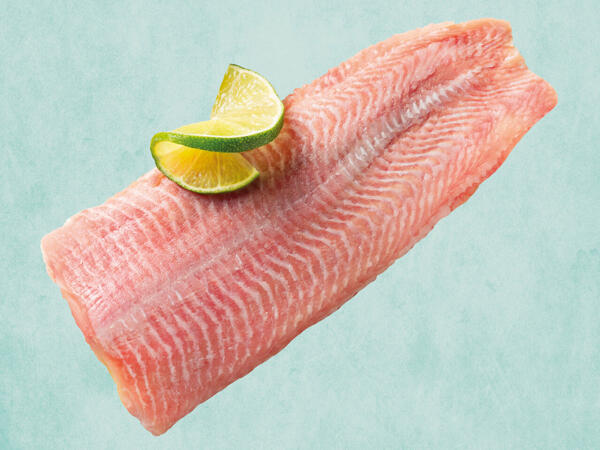 ECHT HERZHAFT Frisches Welsfilet
