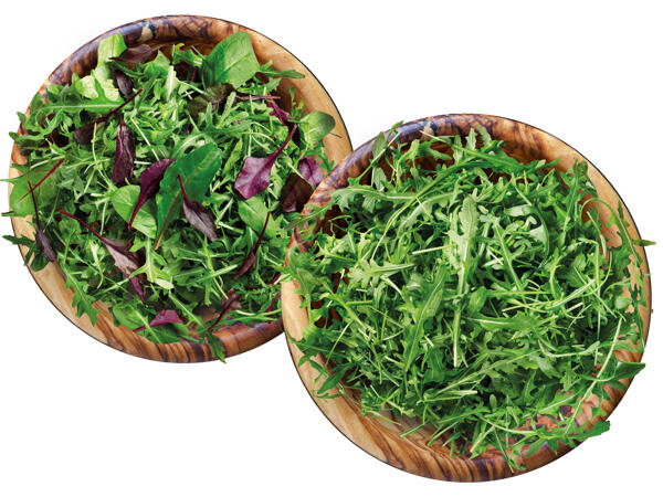 Mix-Salat oder Rucola