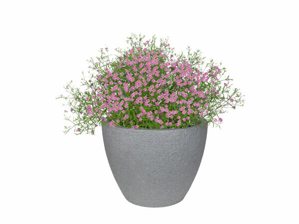 Planter