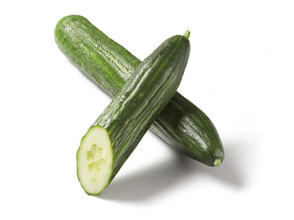 Bio okurka