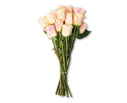 Valentine's Day 12 Stem Rose Bouquet Assorted Colors