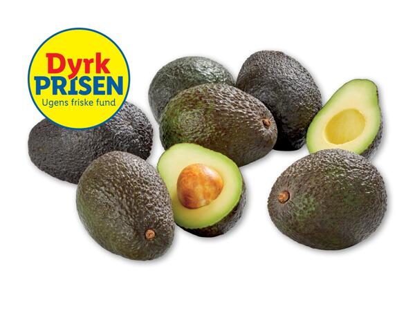 Avocado