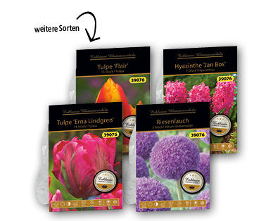 Exklusive Blumenzwiebeln