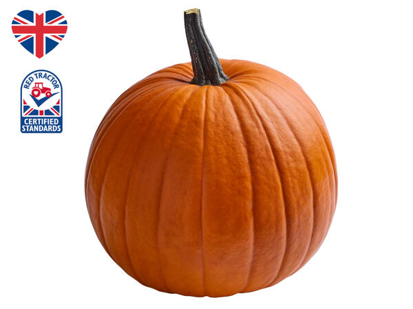 British Monster Pumpkin