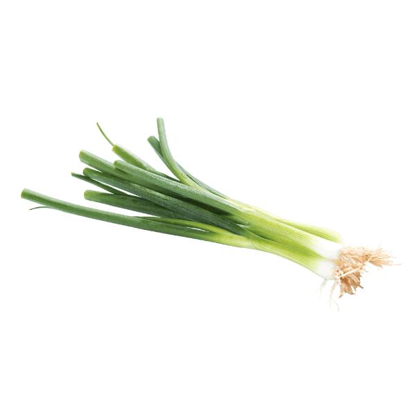 Oignons nouveaux