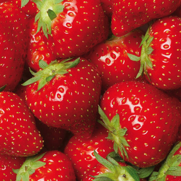 Premium Erdbeeren