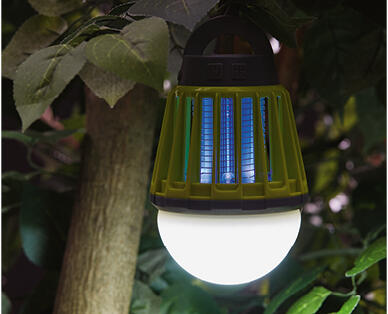 Light with Bug Zapper