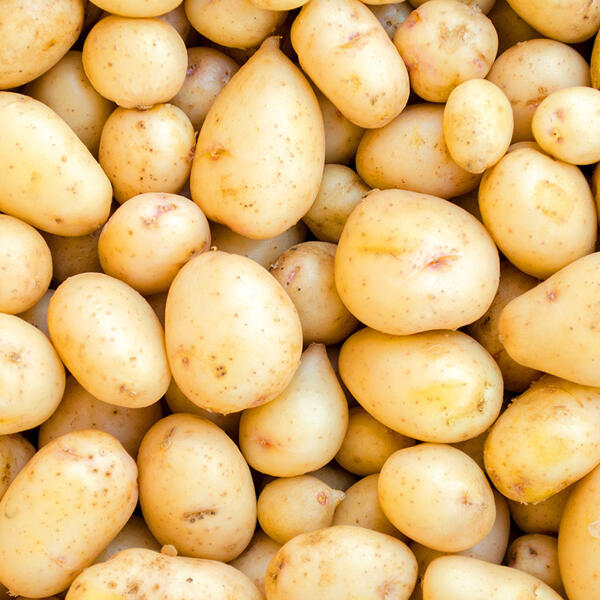 Deutsche Speisekartoffeln