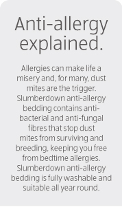 Anti-Allergy Duvet Single