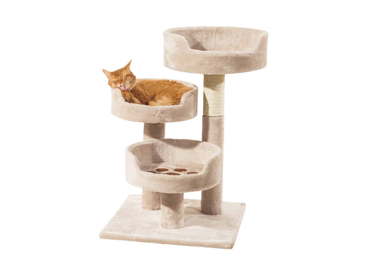 Arbre à chat